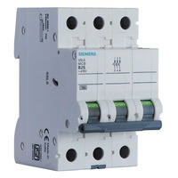 Siemens MCB, 5SL63107RC(S)